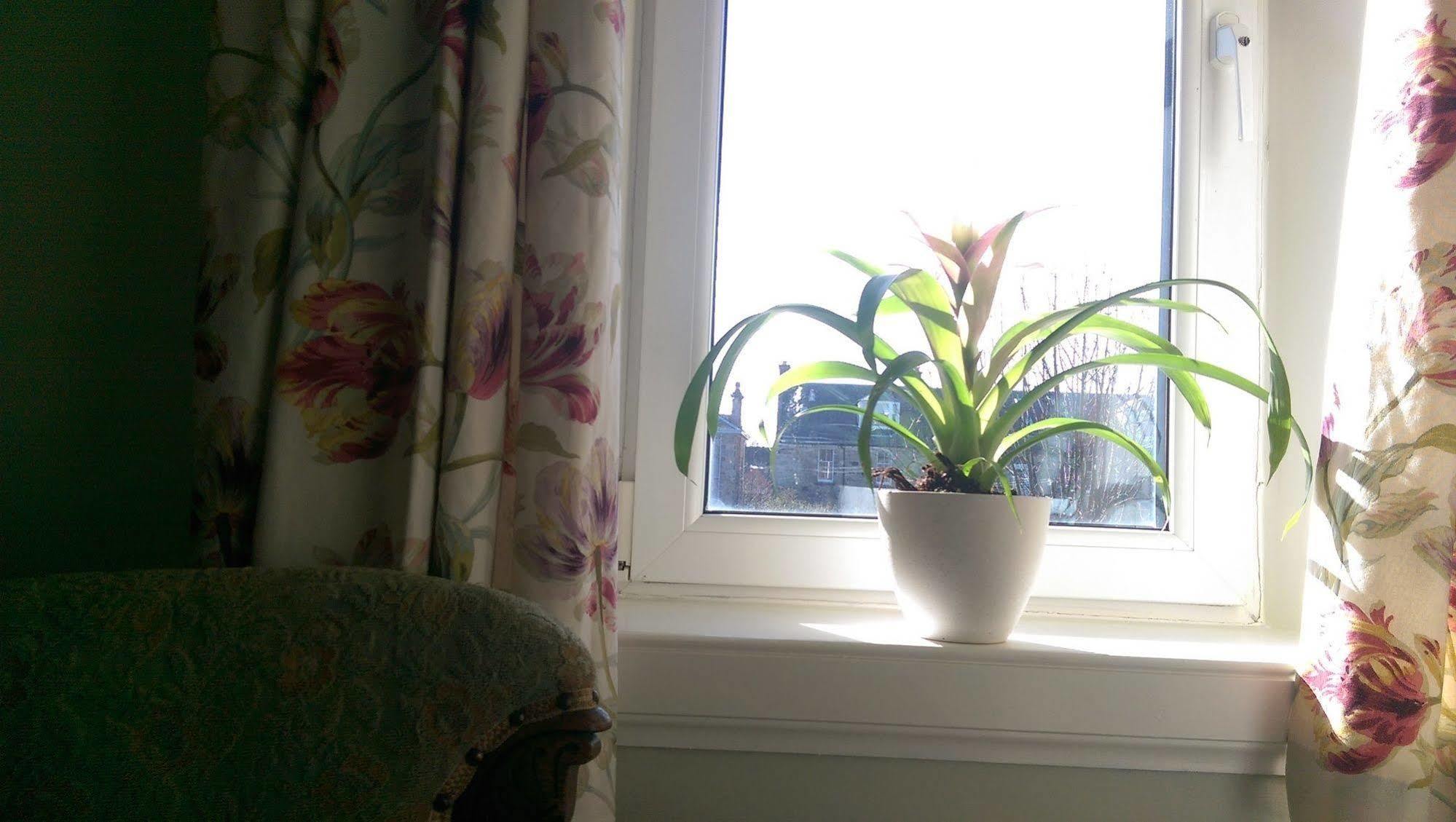 Lochinver Guesthouse Ayr Extérieur photo